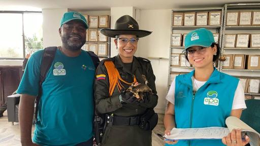 Protección de biodiversidad en Buenaventura