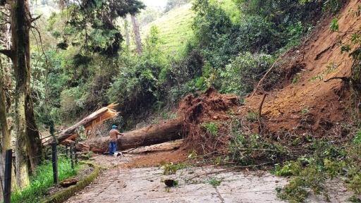 Lluvias en Caldas: afectaciones 