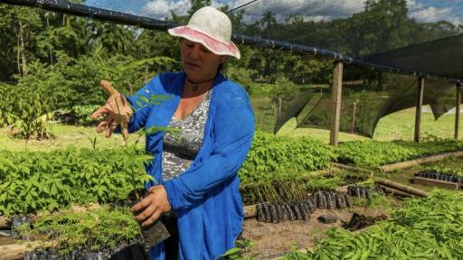 Comunidades campesinas del Yarí le apuestan a la naturaleza