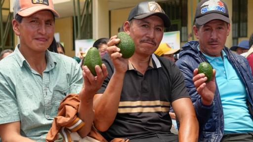 Maqueta de Paz en Nariño: 180 proyectos para salud, educación y vías