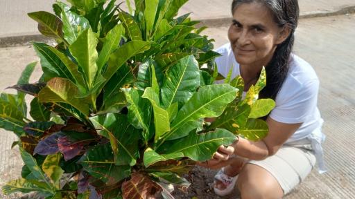 Reforestación en Leguízamo, Putumayo: mujeres víctimas de la violencia lideran iniciativa ecológica