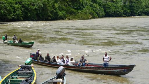 RenHacemos impulsa sustitución de cultivos ilícitos en Nariño