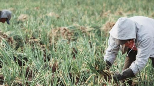 Se aprobó el último debate ley estatutaria de jurisdicción agraria en la Cámara de Representantes