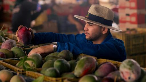 Villavicencio es entidad prestadora de servicios de extensión agropecuaria