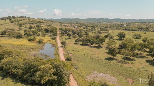 Meta: personal con indumentaria de la ONU y la ANT estafa a campesinos