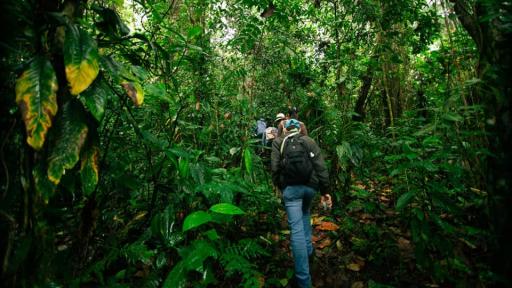 Manizales: Conoce los atractivos de la Comuna Ciudadela del Norte