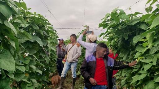 Huila: cultivadores de café reciben ayudas para transformación de sus productos