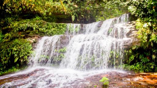 Cascadas de El Paraíso en la Amazonía