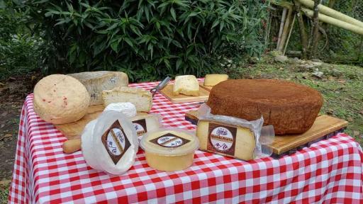 Queso al café en Quindío | Emprendimiento