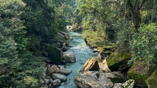 Piscinas del Güéjar recibió reglamentación por Cormacarena 