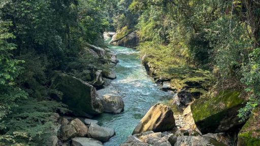 Turismo sostenible Colombia: lugares para conocer en Meta