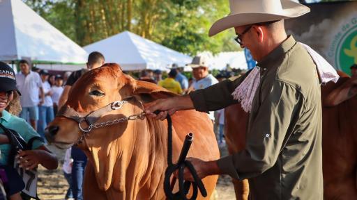 Feria Pecuaria y Agroindustrial de Granada, Meta