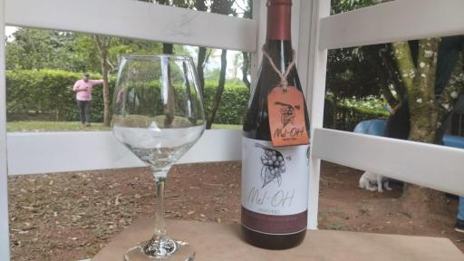 Emprendimiento familiar de bebidas ancestrales protección ambiente