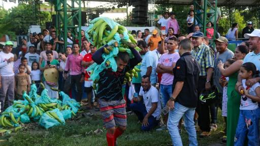 Concurso Puerto Santander: costumbres campesinos plataneros