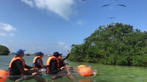 Opciones turísticas en el Caribe para vacaciones