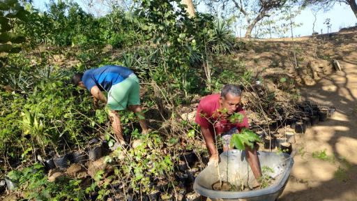 Jóvenes del Caribe colombiano trabajan en la protección de ecosistemas