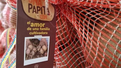 Gobierno nacional crea programa de apoyo a los que cultivan papita 