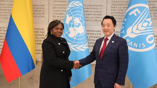 Reunión vicepresidenta Francia Márquez y el director de la FAO: de esto hablaron 
