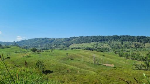 ANT entregará 40 mil hectáreas de tierras a familias campesinas 