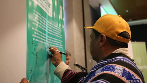 GEF BioSur: Detalles del proyecto