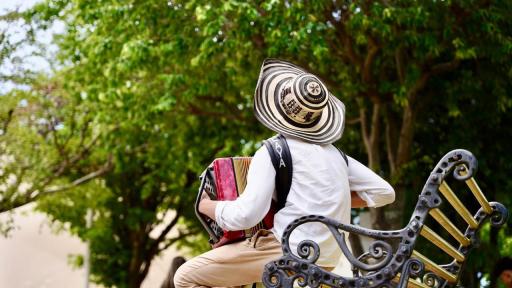 Conoce los artistas que se presentarán en el concierto final del Festival Vallenato 2024