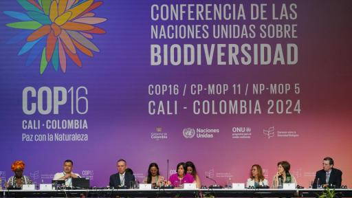 Conferencia de las Naciones Unidas sobre Biodiversidad, COP16.