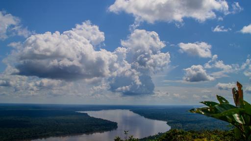 Gobierno crea la Primera Concesión Forestal Campesina de Colombia en la Amazonía