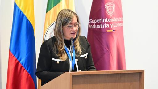 Gobierno nombra a Cielo Rusinque como superintendente de Industria y Comercio