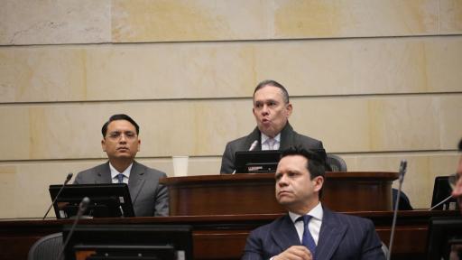 Consulta popular se hundió en el Senado 