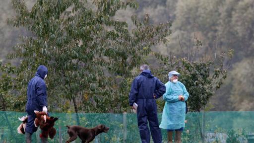 Primer caso de gripe aviar en Estados Unidos 