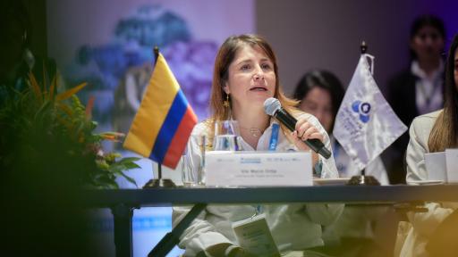 Nuevo magistrado Corte: Defensoría pide elegirlo con independencia 