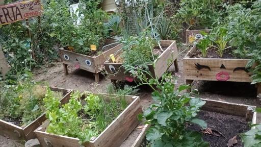 Soberanía alimentaria con huertas periurbanas en Rioblanco, Tolima