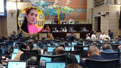 Congreso llevó a cabo audiencia pública sobre Ley Sara Millerey