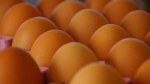 Consumo de huevos en Colombia 2025: Fenavi confirma récord histórico, cada colombiano come uno al día