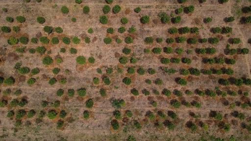 Ideam alerta por posible fenómeno de El Niño en Colombia