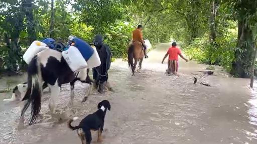 Desbordamiento río Ariari: afectaciones en veredas de El Castillo, Meta