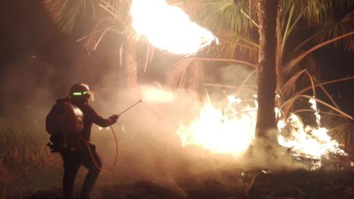 Temporada incendios Colombia