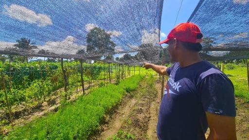 Consumo insuficiente de alimentos: departamentos de Colombia con más inseguridad alimentaria