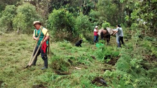 Medioambiente | La iniciativa de conservación para un bosque del Tolima