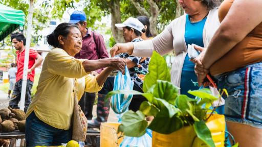 Chagra ancestral: qué es, características, pueblos indígenas