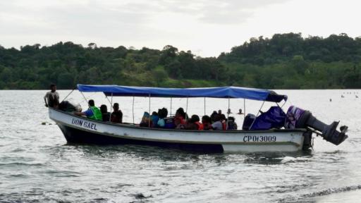 Temporada de avistamiento de ballenas en Buenaventura 2025 