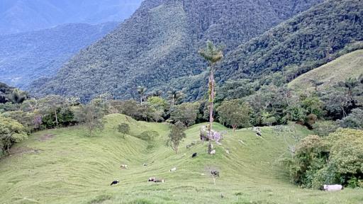 Sitios para conocer en Santa Marta: turismo con comunidades campesinas 