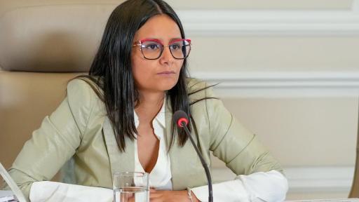 Angie Lizeth Rodríguez renuncia al Dapre