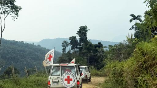 Ayuda humanitaria del CICR en Caquetá por crisis alimentaria