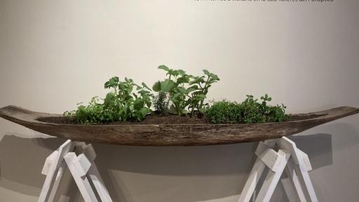 Museo gastronómico del Chocó: un espacio cultural que rescata la identidad afrocolombiana