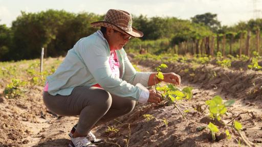 Mujeres campesinas y su lucha por la tierra en Baranoa, Atlántico