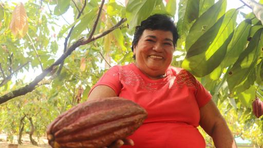 Mujeres campesinas: emprendimiento con el cacao en el Meta