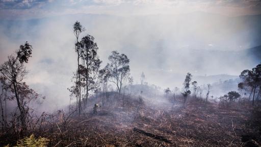 Incendio forestal en cerro Quitasol de Bello consume 40 hectáreas