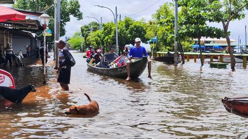 Vichada: inundaciones por aumento en río Orinoco y damnificados 