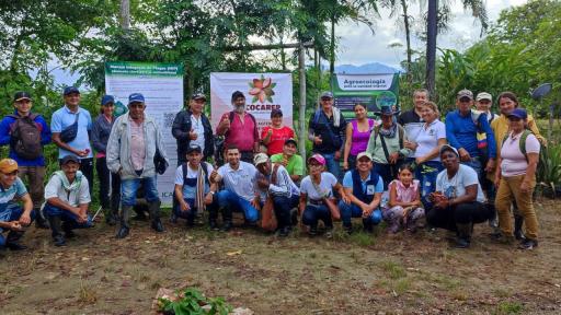 Cacao impulsa la paz y el emprendimiento en Caquetá